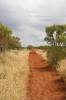 2004_05_08_097_OZ_Urulu.jpg